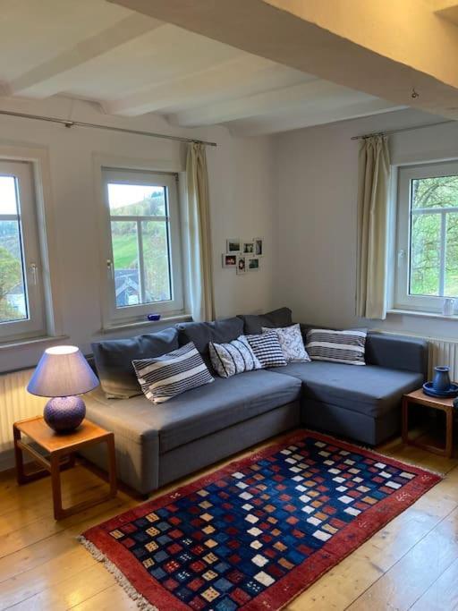 Ferienwohnung Am Alten Backhaus Bad Berleburg Bagian luar foto